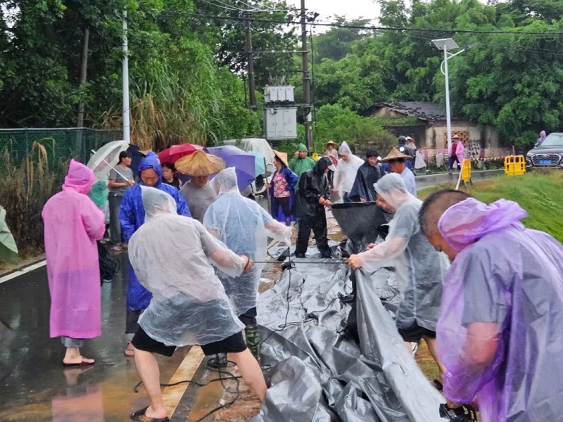 抢险！漳州干部，跳入水中